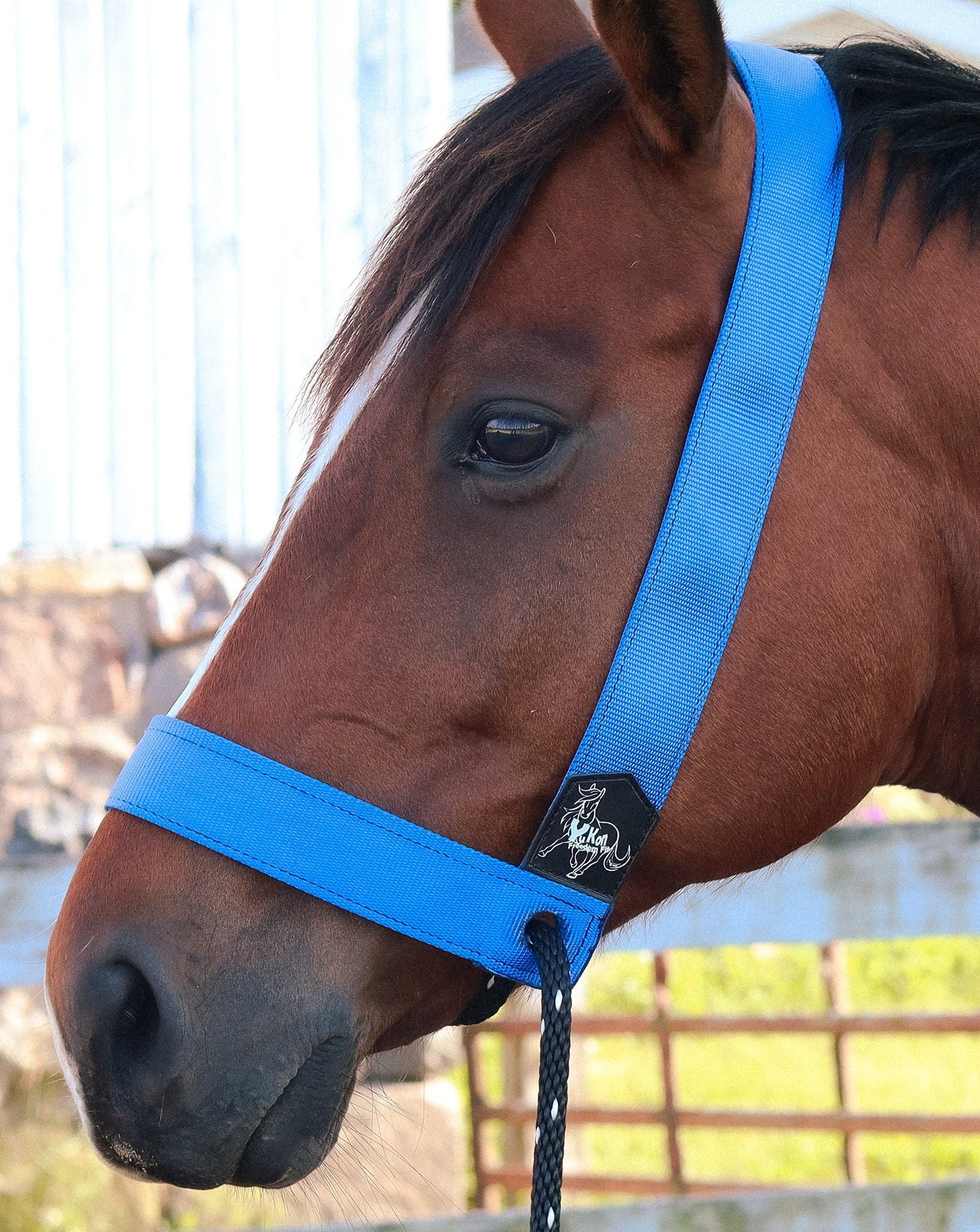 Quick Fit Halter