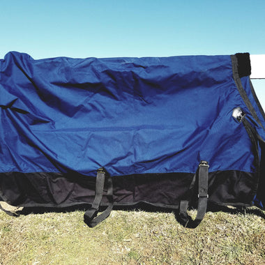 Yukon Freedom Fit Horse Blanket Black