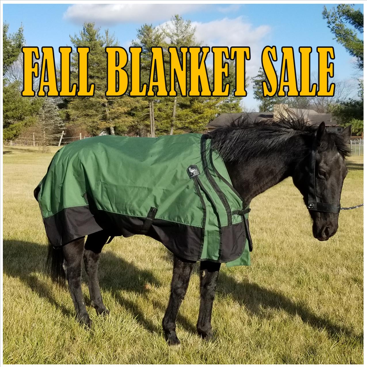 Fall Blanket Sale
